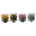 Plant Netting Bags With Drawstring 4 Pack For Garden Shrubs 4x5ft
