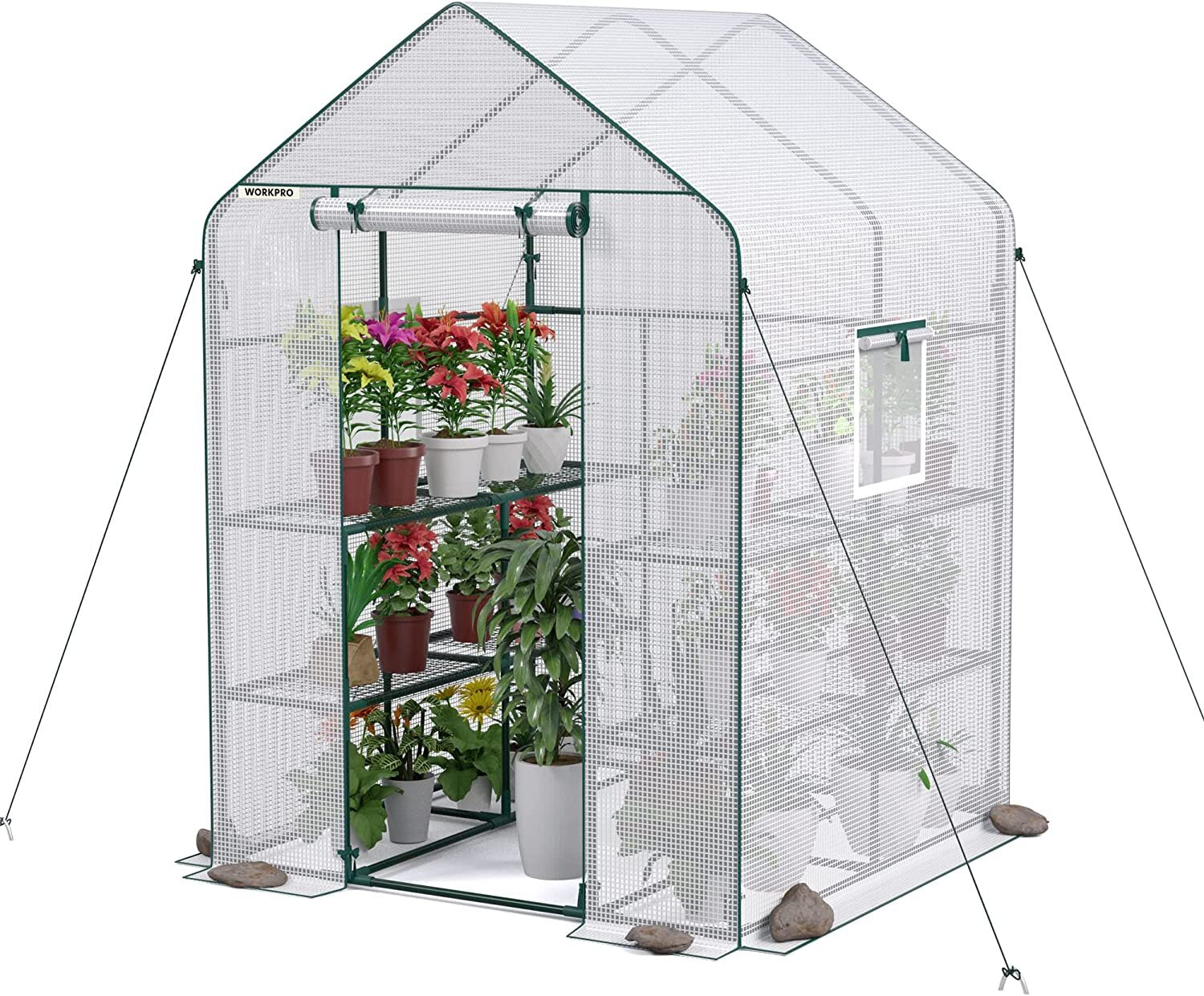WORKPRO Outdoor Walk-in Greenhouse by WORKPRO