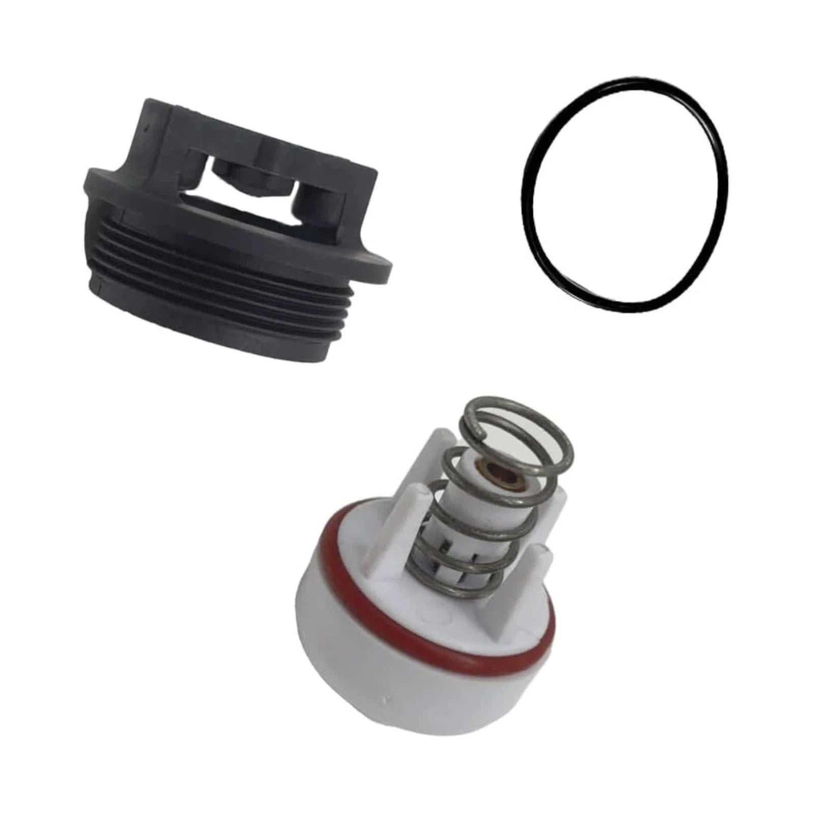 Durable Backflow Valve Pvb Repair Kit 3/4" & 1/2" Oe0887726 800m4qt,