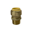 XFITTING 3/4" PEX-B x 3/4" Female NPT Swivel Adapter