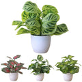 Artificial Simulation Flower Foliage Plant Bonsai Office Decor Fake