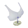 Plastic Bra Formbikini Lingerie Display Adjustable Stand Base