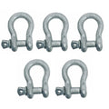 Drop Forged 1500 Lbs D Ring 5/16" Screw Pin Anchor Shackle Galvanized