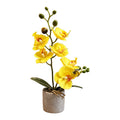 Decorative Artificial Orchid Plant For Living Space Dining Area Office