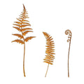 Rustic Metal Garden Stakes For Ferns - Iron Decor 41cm 25cm 26cm