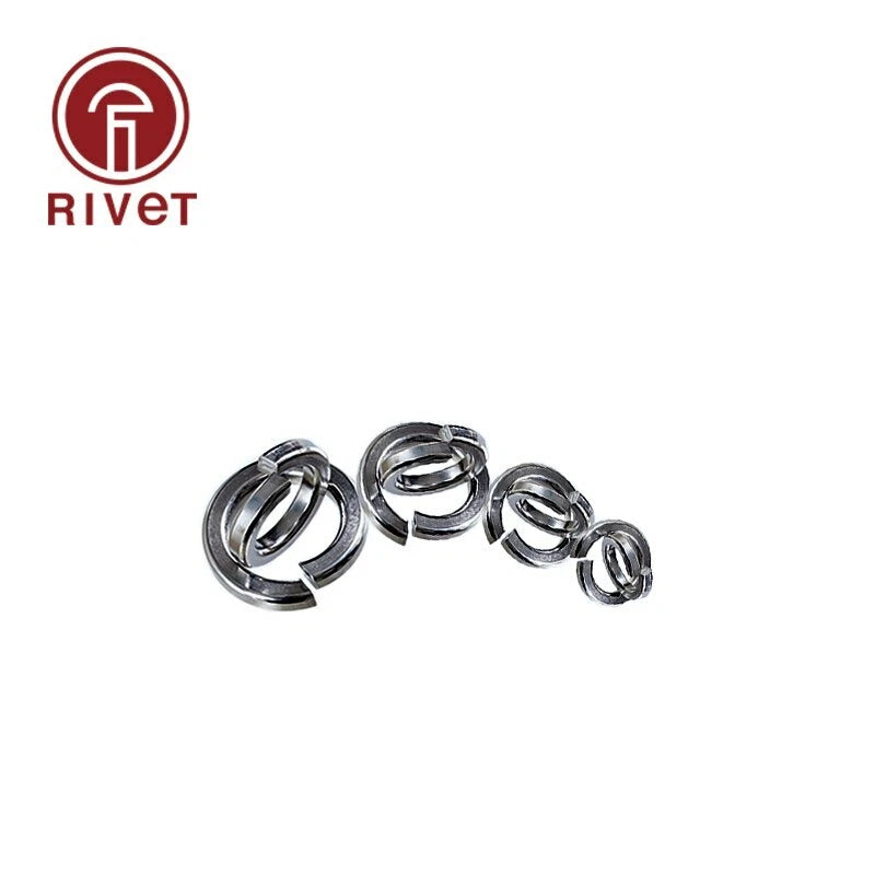 316 Stainless Steel Shells Pad Spring Lock Washer Elastic Gasket