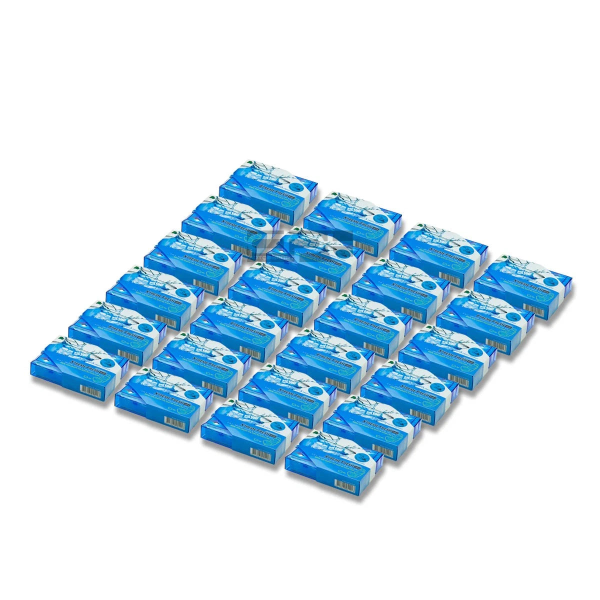 X24 Treefrog Fresh Squash Scent Mini | Built Supply Co