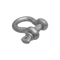 Drop Forged 4000 Lbs D Ring Bow 1/2" Screw Pin Anchor Shackle