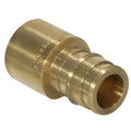 XFITTING 1/2" Pex A x 1/2" Female Sweat Adapter