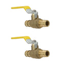 XFITTING 1/2" Pex A Ball Valve 2 Pack