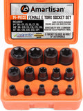 14 Pc Female E-Torx Star Socket Set/rail, 1/4" 3/8" 1/2" Drive, E24