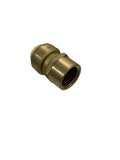 XFITTING 1/2" Push Fit Adapter - Female NPT