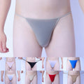 Men's Thongs Sexy Underwear Gstring Pouch Panties Sheer Smooth Purple