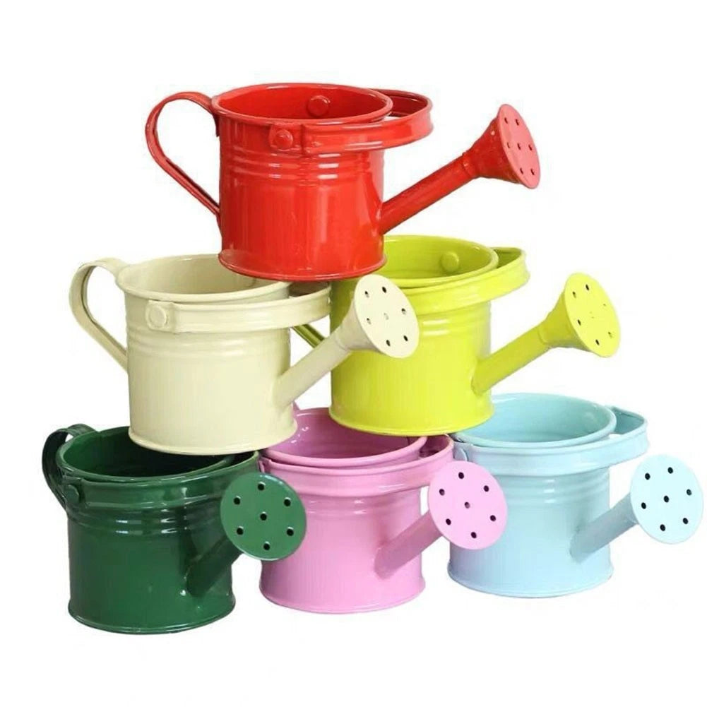 Large Capacity Metal Watering Can For Garden Plants With Long Mouth