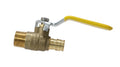 XFITTING 1" Pex A Female NPT Adapter