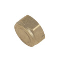 Brass 3/4" Compression Blanking End Cap
