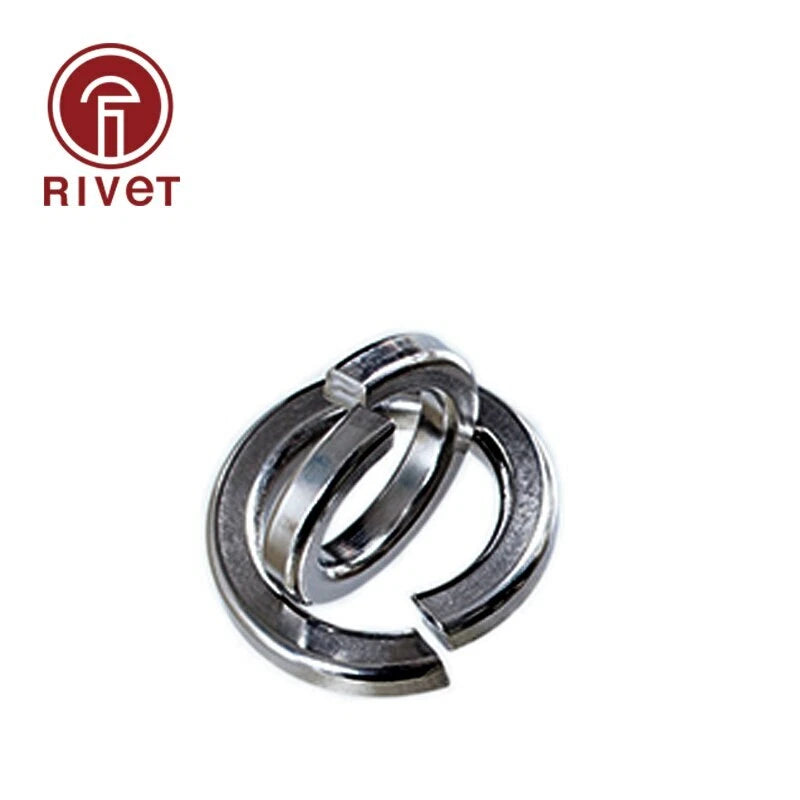 M10 M12 M14 M16 304 Stainless Steel Shells Pad Spring Lock Washer