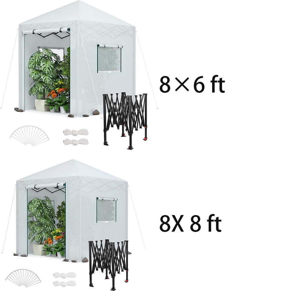 Workpro Portable Walk-in Greenhouse Instant Pop-up Gardening House