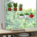 Space Saving For Acrylic Plant Shelf For Window Use With Legs And