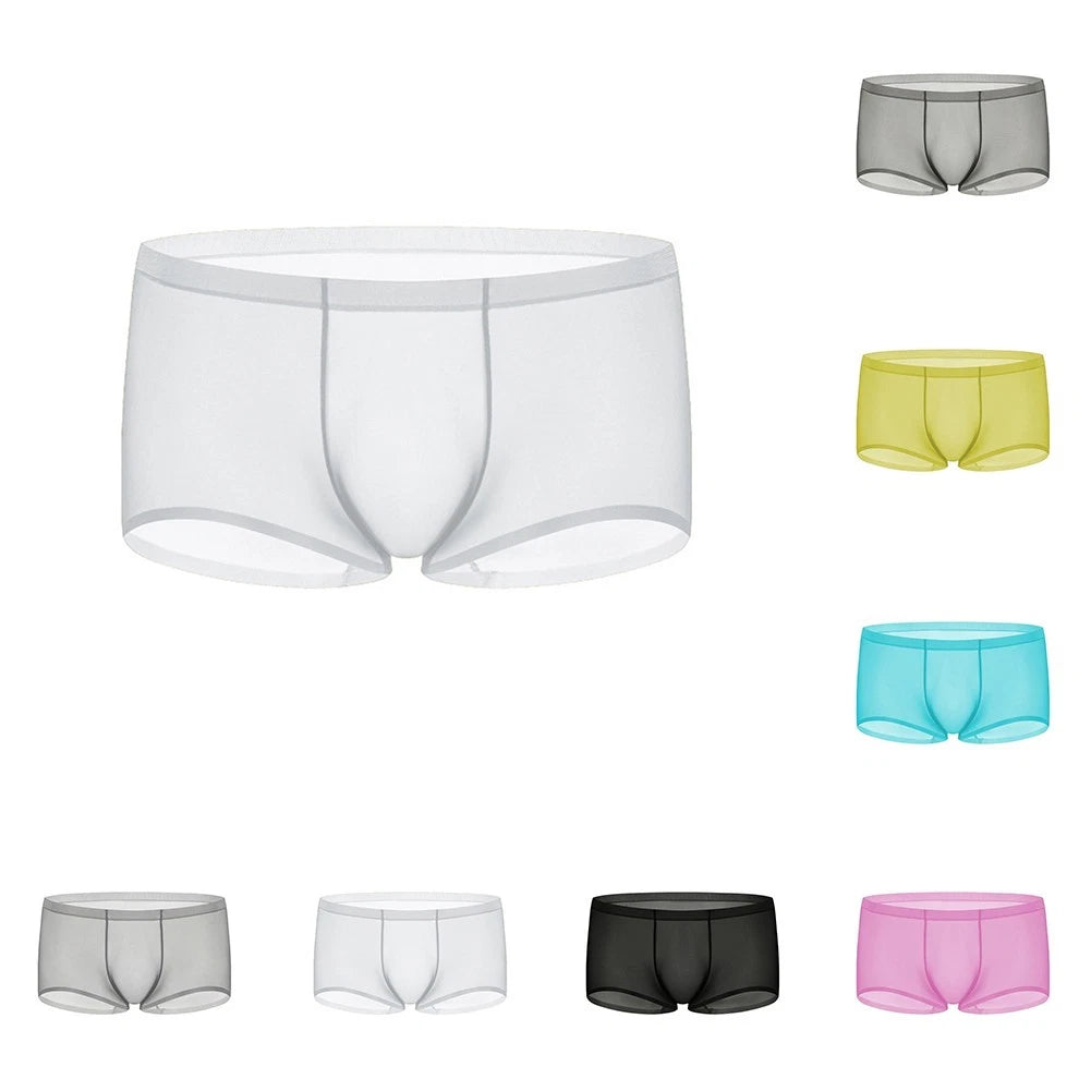 Breathable Mens Sheer Boxer Briefs In Multiple Colors Comfortable Wear