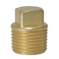 XFITTING 1/2" Male NPT Pipe Plug 25 Pack