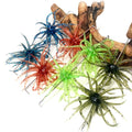 Realistic For Sea Urchin Soft Lure 6cm 1.7g For Bass Mandarinfish For