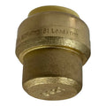 XFITTING Push Fit Cap - 20 Pack