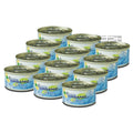 X12 Treefrog Organic Squash Scent Car/auto/truck<wbr/>/home/office