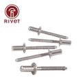Iso 15974 M4.8/m6 Rivet Countersunk Head Closed Breakstem Fasteners