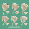 Headscarf Intricate Jacquard Patterns Breathable Summer Fabric