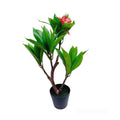 2.25 Ft Fuchsia Artificial Plumeria Flower Tree W/ Black Pot For