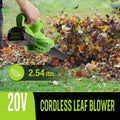 20V Cordless Battery Powered Leaf Blower 2-speed Control