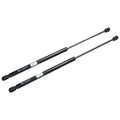 2 Hatch Gas Struts For Sb Barina 1994~01 3door Hatchback Pair