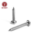 100/ Din 7049 Cross Recessed Pan Head Self-tapping Screws St3.5 St3.9
