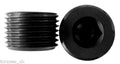 1/4" NPT Male Plug Aluminium In Black