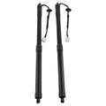Rear Tailgate Lift Supports Struts for Nissan Rogue 14-19  905614BA4A 905614BA2A
