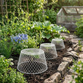 Plant Cloche With Ground Stakes - 20.5x15x10.5cm Metal Chicken Wire