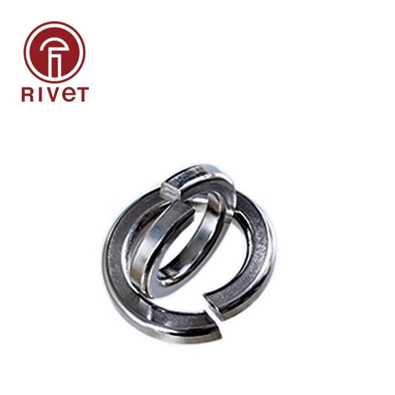 M18 M20 M22 M24 A2-70 Shells Pad Spring Lock Washer Elastic Gasket 50