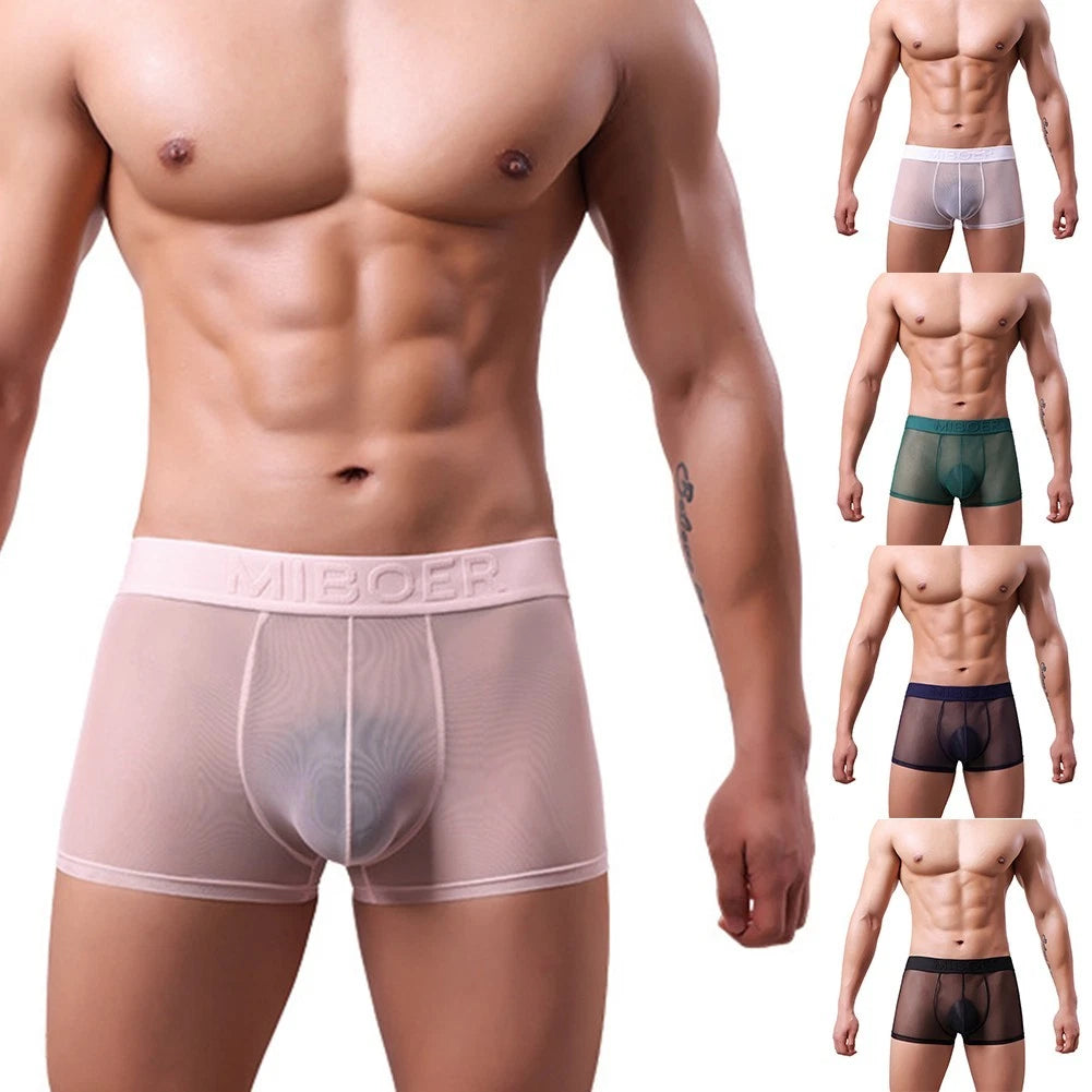 Stylish Low Waist See Through Boxer Underwear For Men In Various