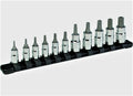 Proto Blackhawk 11pc Tamper Resistant Torx Bit Set