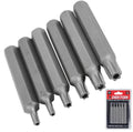 Dekton 6pc Security Male Torx Set