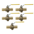5 Pack XFITTING Pex A Ball Valve w/ Drop Ear, 1", Expan