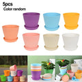 Brighten Up Your Garden With A Set Of 5 Colourful Small Plastic