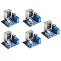 Audio Amplifier Module 18W Mono Amp Board 6-12V With Protection