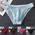 Mens Low Rise Underwear Lace Briefs Transparent Soft Fabric Sissy