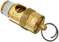 Tru-Flate Valve Safety 125 PSI by Tru-Flate