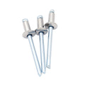 Stainless Steel Open End Domed Head Blind Pop Rivets M4.8 Diameter