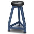 32.1"x 17.9"x 13.46" 300lbs Capacity Stamped Steel Seats Blue Painted