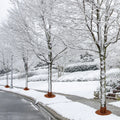Palm Tree Root Protector Detachable Frost Cover Three Layer For