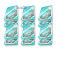 X12 Smooth Cologne Neo Squash Scent Auto Air | Built Supply Co